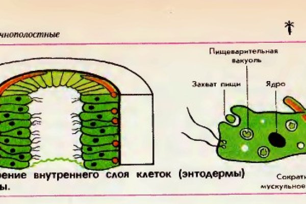 Кракен маркетплейс 2025