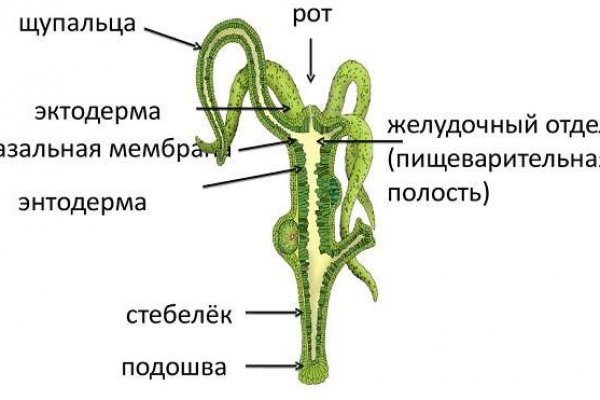 Кракен даркнет купить