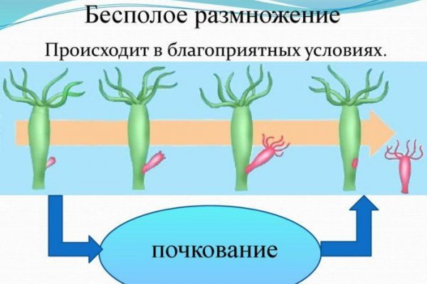 Kraken market ссылка